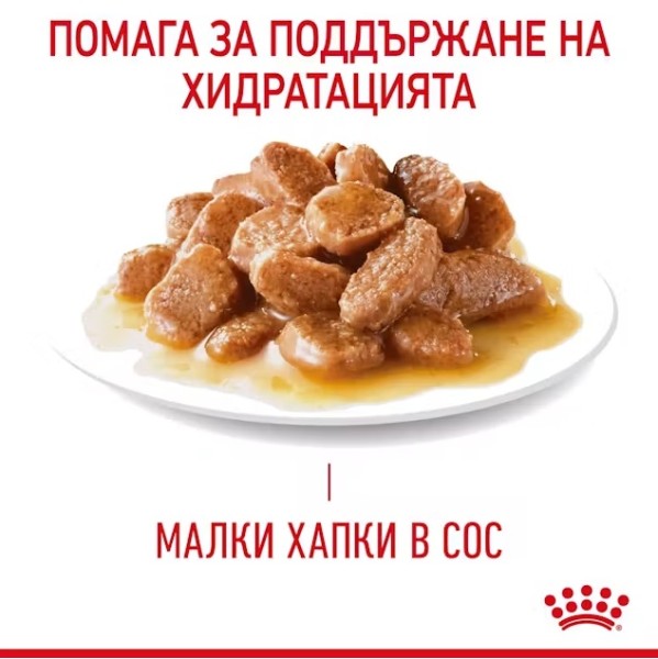 Royal Canin Digestive Care Gravy - Пълноценна мокра храна в пауч за котки над 12 месеца за подпомагане здравословното храносмилане